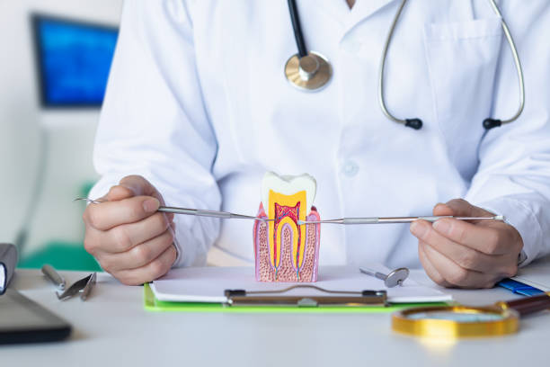Best Tooth Pain Emergency Relief  in Wabasso Beach, FL